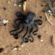 Illustration for article titled Thousands of Lego Pieces Have Been Washing Up On This Beach Since 1997
